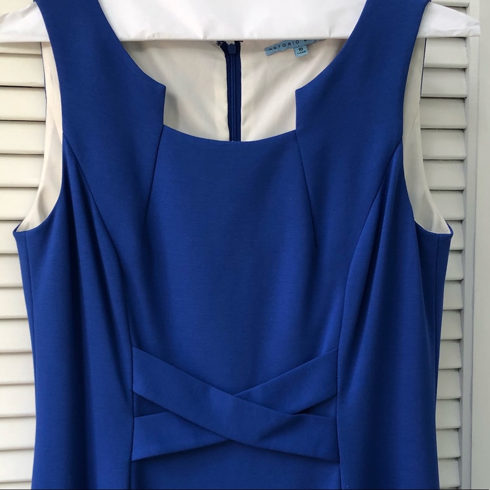 Antonio Melani Blue Sleeveless Sheath - Picture 5 of 9